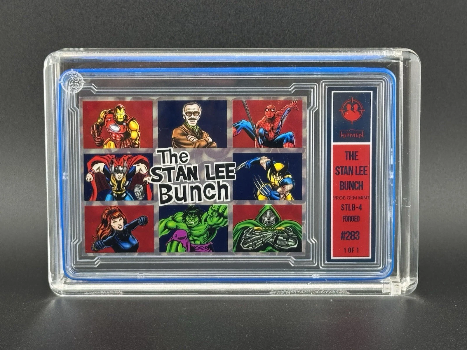 The Stan Lee Bunch