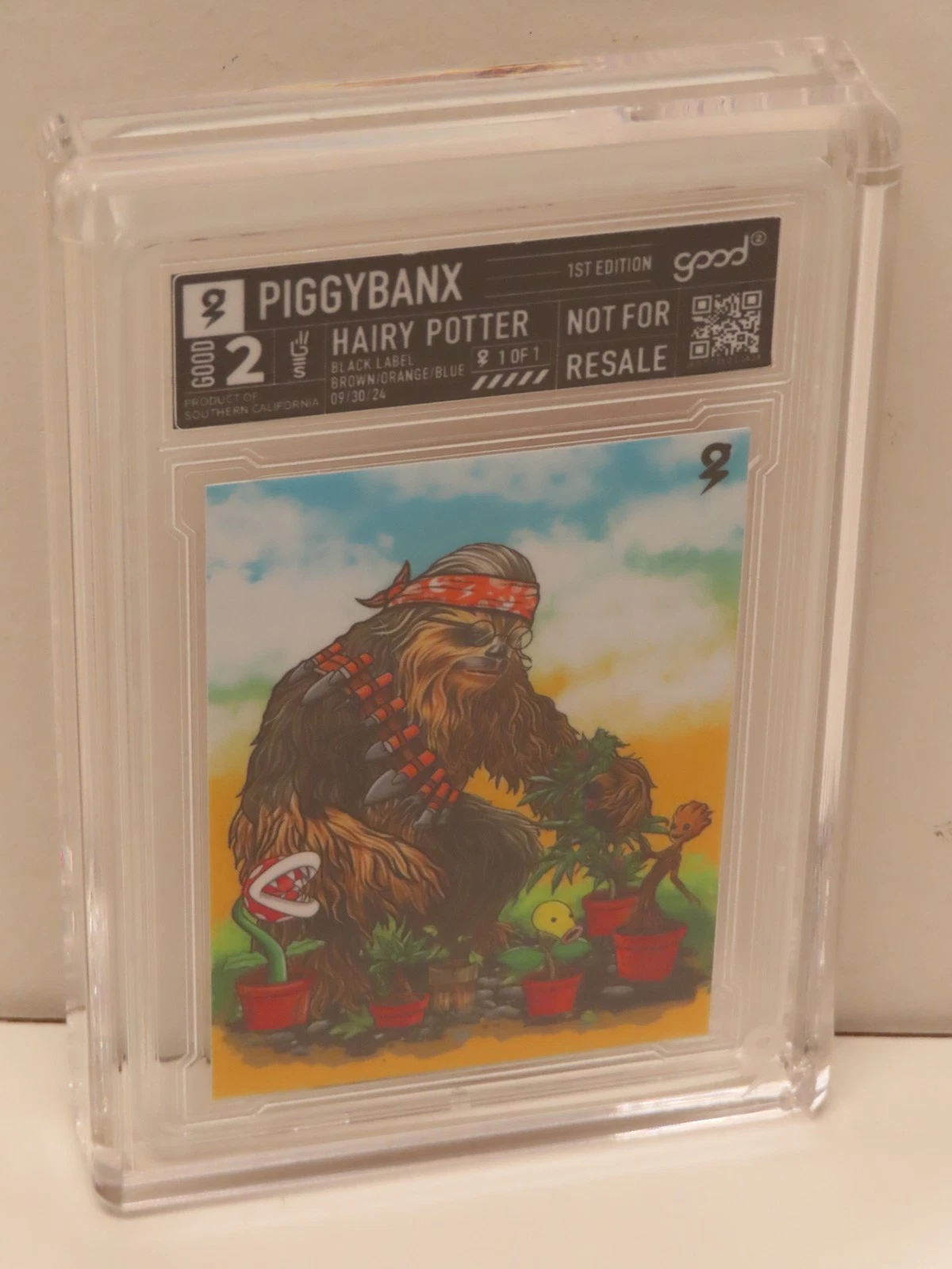 Hairy Potter