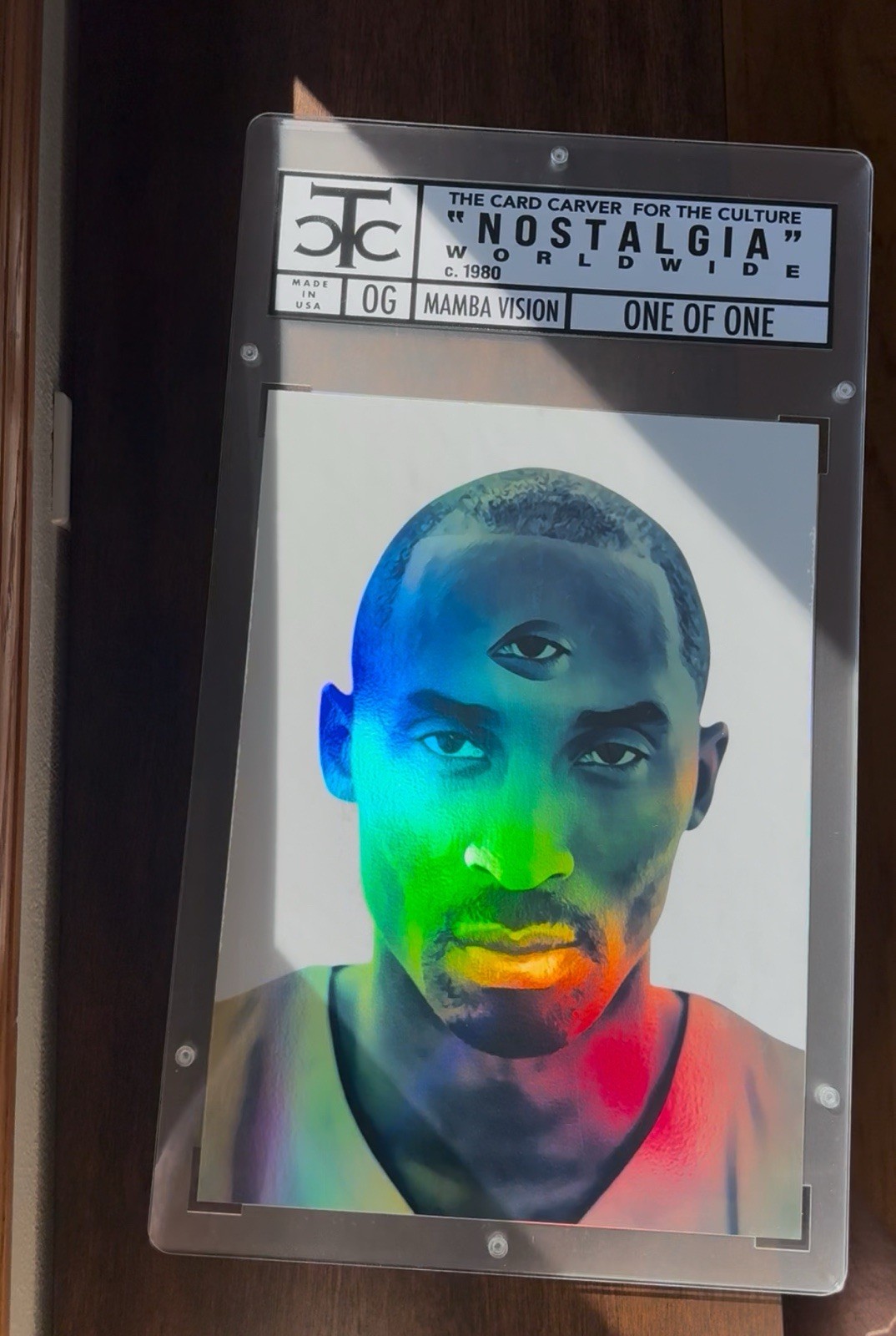 Mamba Vision (Wall Piece)